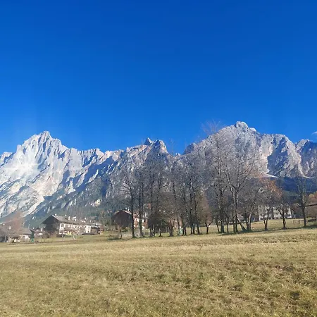 Larice&ribes 아파트 *