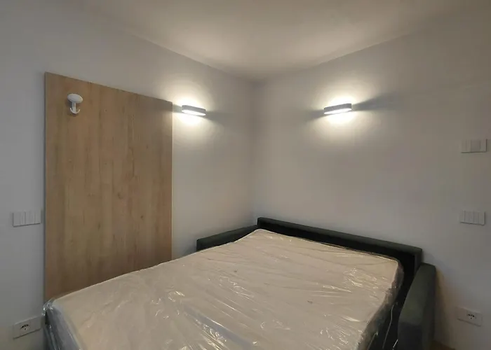 Larice&ribes 산비토디카도레